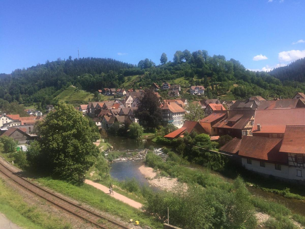 Urlaub Mit Blick Auf Schiltachs Fachwerkhaeuser المظهر الخارجي الصورة