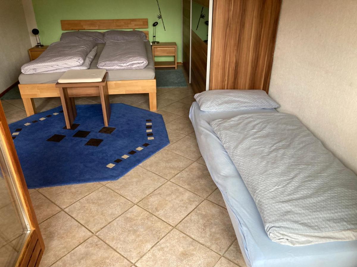 Urlaub Mit Blick Auf Schiltachs Fachwerkhaeuser المظهر الخارجي الصورة